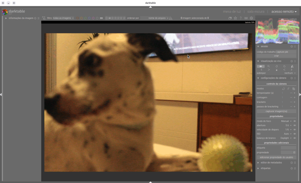 Darktable exibindo o "liveview" da câmera na seção "Controle remoto".